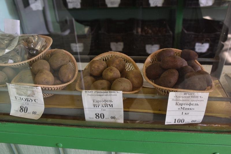 Уральский картофель