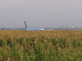Посадка Airbus A321 в поле с кукурузой