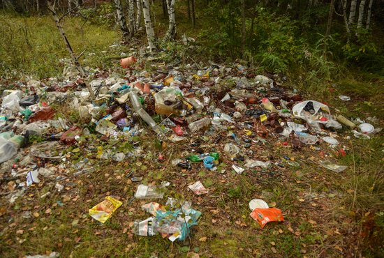 Общий объём вывезенного с незаконных свалок мусора превысил 17 тыс. кубических метров. Фото: Галина Соловьёва