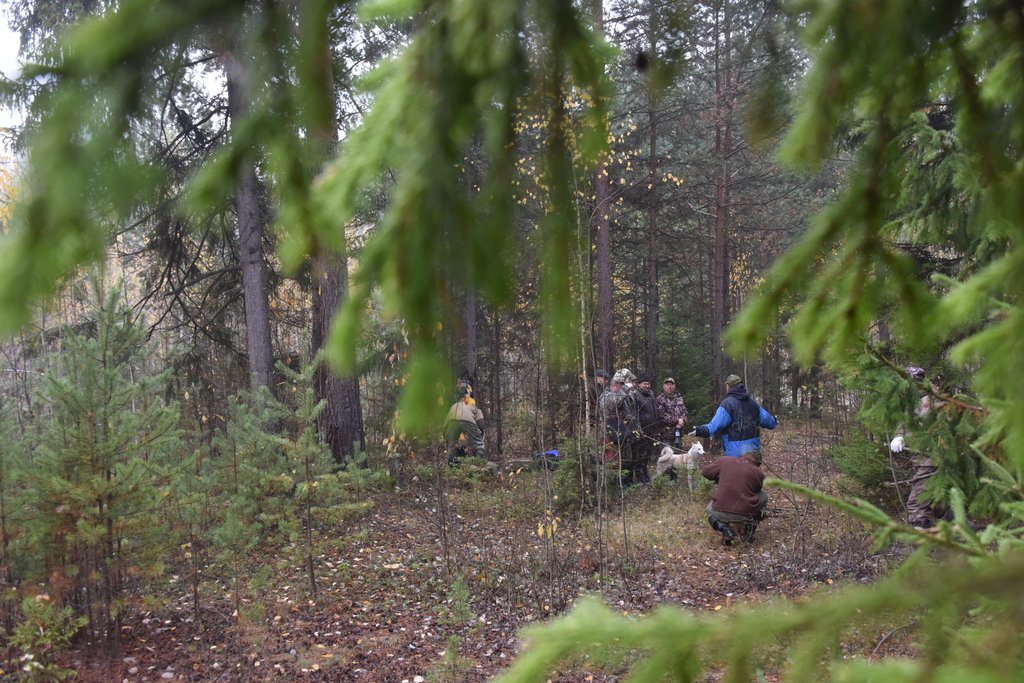 охотники в лесу