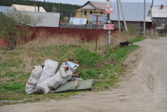 Опубликован график выдачи пакетов для сбора ТКО в Богдановиче. Фото: Александр Зайцев