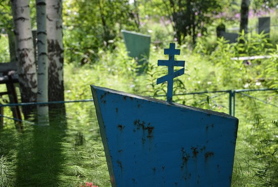 Обнаруженное в «Зелёной роще» старинное кладбище признано объектом культурного наследия. Фото: Галина Соловьёва