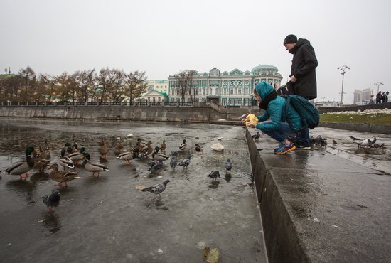 До конца недели установилась прохладная погода, местами пройдут дожди. Фото: Владимир Мартьянов
