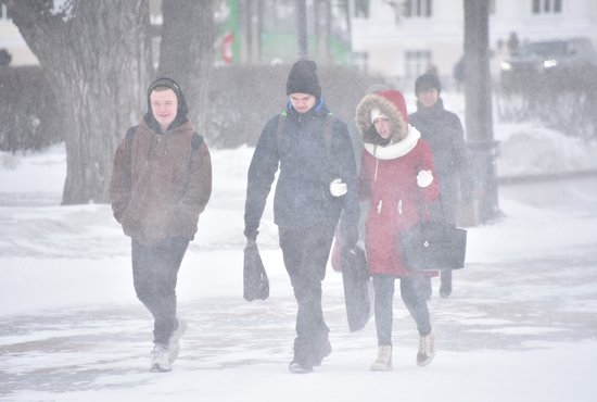 Ранее синоптики Уральского гидрометцентра пообещали установление временного снежного покрова в Свердловской области и ночные заморозки. Фото: Алексей Кунилов