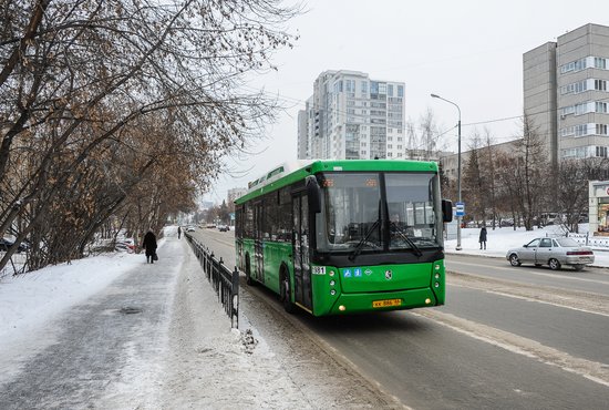 В Екатеринбурге возобновляется движение автобусов после гололёда. Фото: Владимир Мартьянов