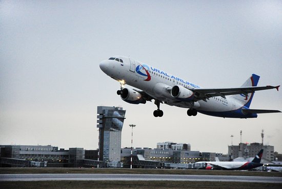 Выполнять новые рейсы будут «Уральские авиалинии». Фото: Евгения Скачкова
