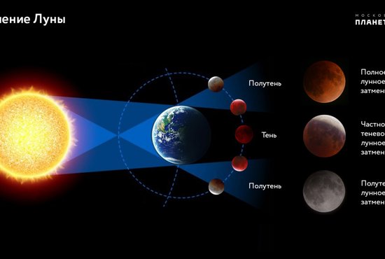 Во время таких небесных спектаклей Солнце, Земля и Луна выстраиваются в одну линию. Если посередине оказывается Луна, то люди наблюдают солнечное затмение, а если Земля – то лунное. Фото: Московский планетарий