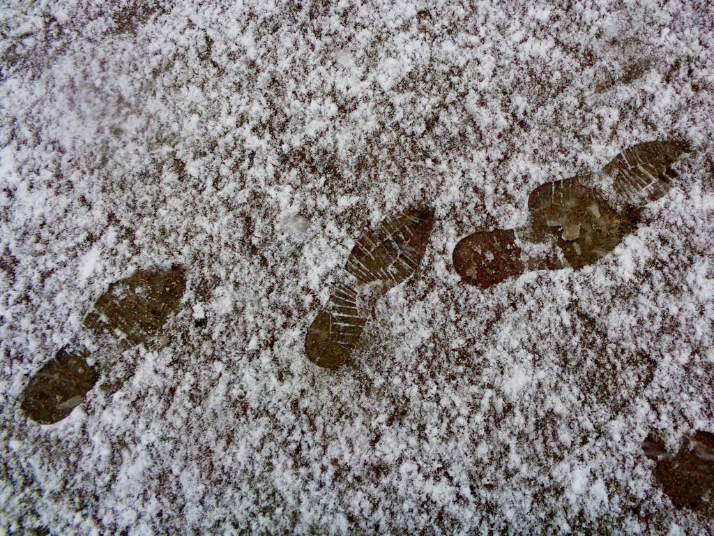 следы на снегу
