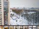 В Екатеринбурге за 45 миллионов продают квартиру с видом на "Зелёную рощу". Фото: объявление