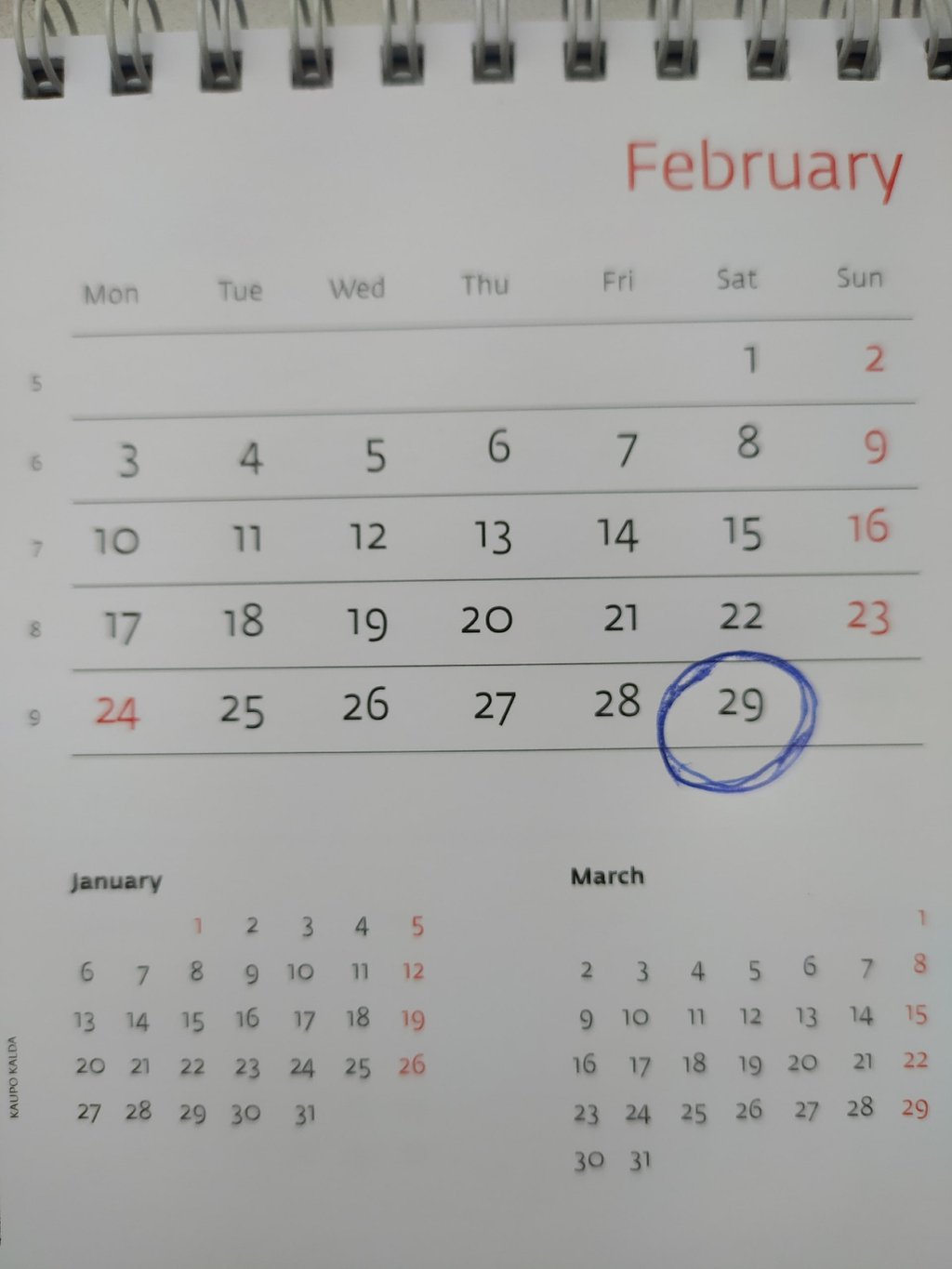Сегодня – 29 февраля, единственный день, который отсутствует в невисокосном году.