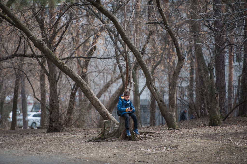 Мальчик в парке сидит на пеньке