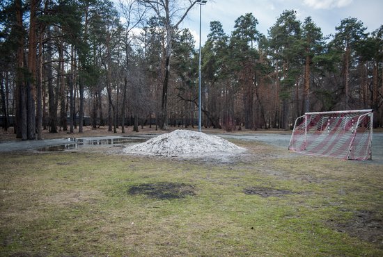 Названа новая дата закрытия Зелёной рощи в Екатеринбурге. Фото: Владимир Мартьянов