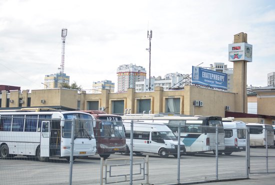 565 междугородних автобусов проходят регулярную предрейсовую обработку. Фото: Галина Соловьёва