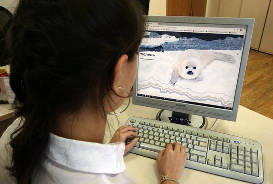 В России под защиту возьмут каспийского тюленя и дальневосточную косатку. Фото: Нина Георгиева