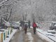 В регионе может вновь установится временный снежный покров. Фото: Алексей Кунилов