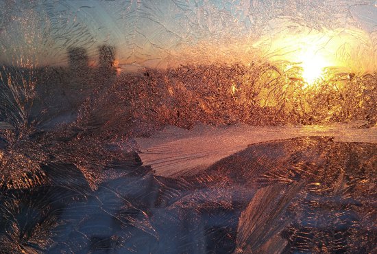 В Свердловскую область идут заморозки до -4°С. Фото: Нина Георгиева