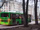 Автобусы будут пущены в обход закрытого участка проспекта Ленина. Фото: Галина Соловьёва
