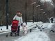 Депутаты поддержали удваивание размера минимального пособия по уходу за ребёнком для неработающих граждан. Фото: Галина Соловьёва
