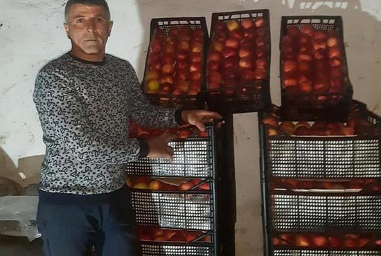 В витаминный набор для ветеранов и многодетных семей вошли овощи и вот такие яблоки Фото: Мустафа Махмудов