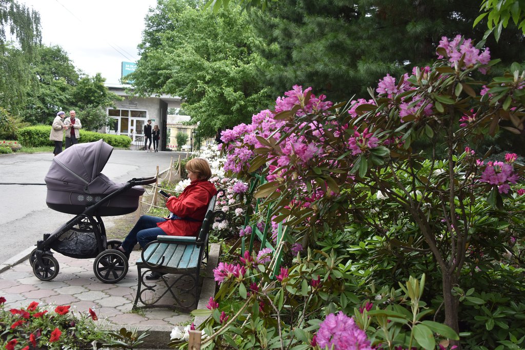 женщина с коляской в парке