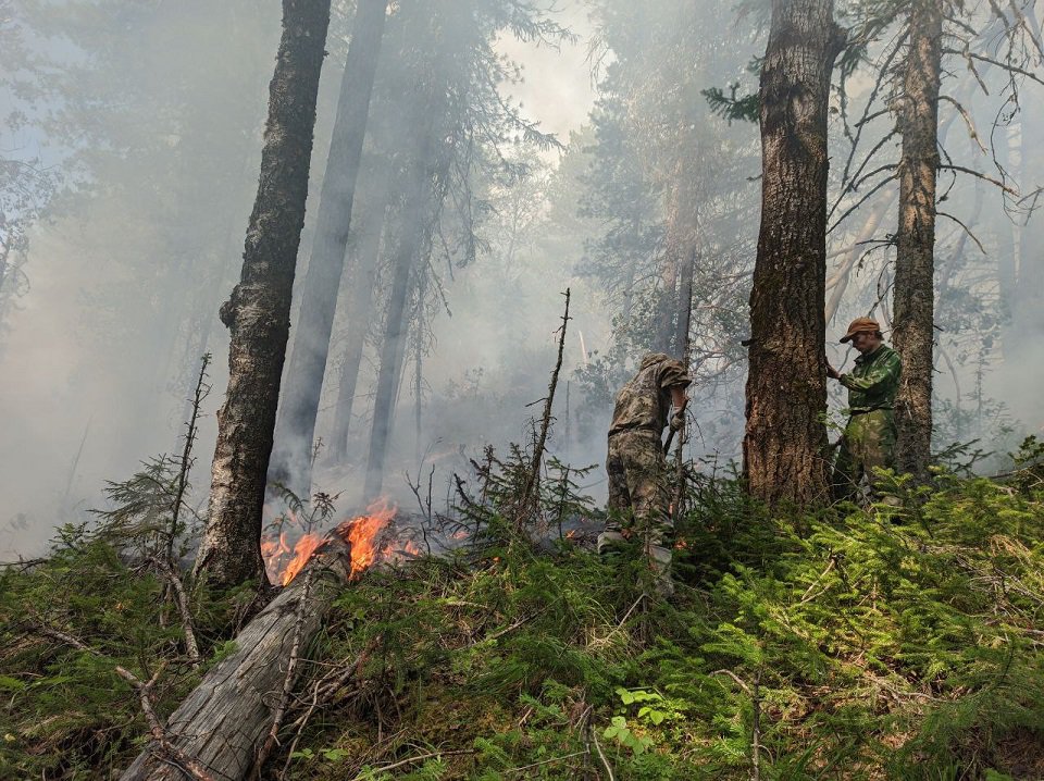 В Свердловской области продолжаются работы по тушению пожара в заповеднике «Денежкин Камень».