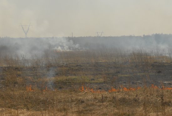 Всего с начала пожароопасного сезона на Среднем Урале было выявлено 720 нарушителей требований данного режима. Фото: Александр Зайцев