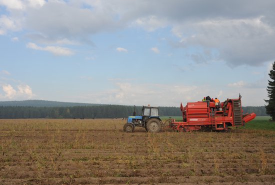 В работах по сборке урожая задействованы 5 тыс. тракторов, 720 зерноуборочных комбайнов, 362 кормоуборочных комбайна и 108 картофельных комбайнов. Фото: Алексей Кунилов.