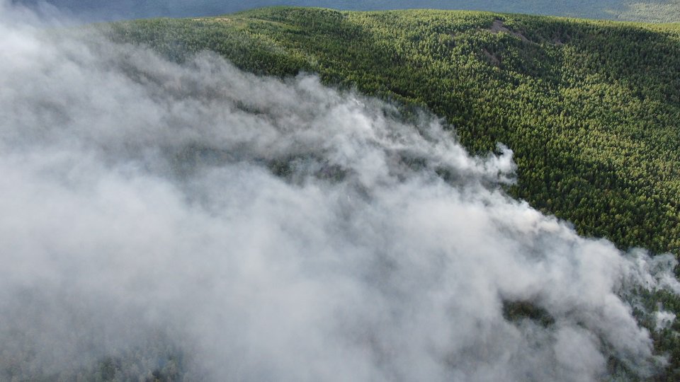 Пожар в заповеднике «Денежкин камень» начался 17 июля. Его площадь составила около 120 гектаров.