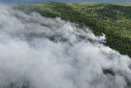 Пожар в заповеднике «Денежкин камень» начался 17 июля. Его площадь составила около 120 гектаров. Фото: Государственный природный заповедник "Денежкин Камень"