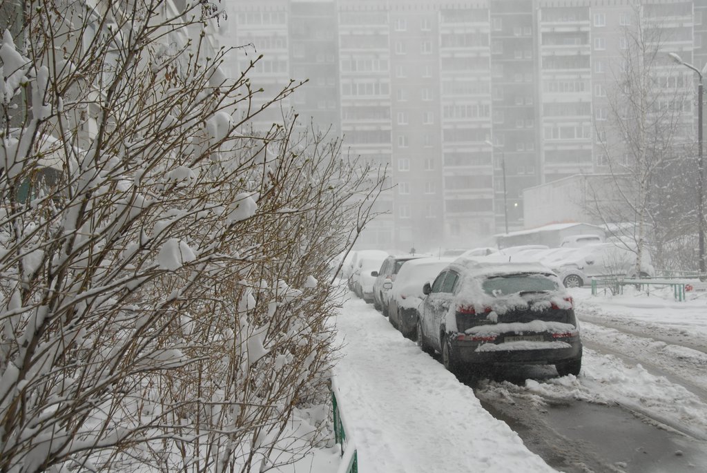 снег, машины во дворе