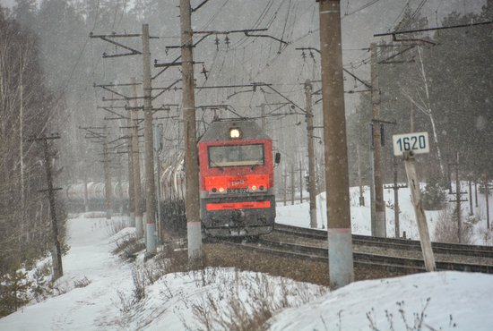 Из-за обрыва линии электропередачи были задержаны шесть пассажирских и десять грузовых поездов. Фото: Галина Соловьёва.
