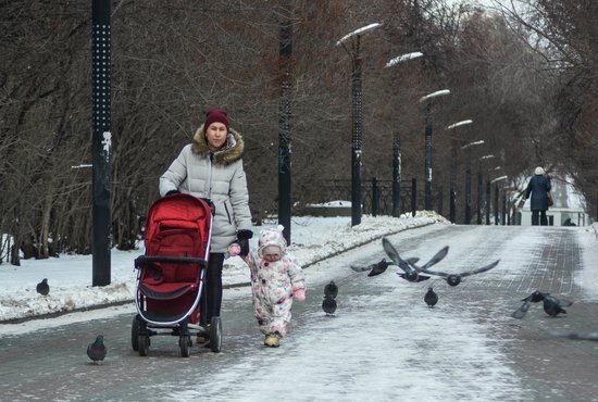 Срок автоматического начисления пособий продлевается до 1 марта 2021 года. Фото: Галина Соловьёва.