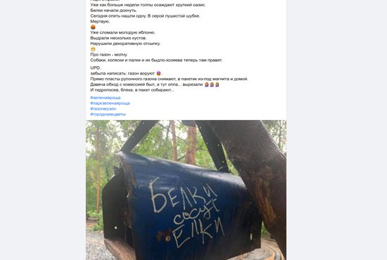 Горожане уже успели сломать яблоню, погубить несколько белок и украсть газон. Фото: скриншот страницы Мария Штань в Facebook.