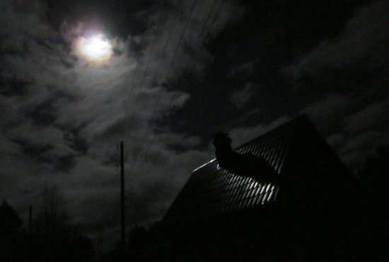 Электричество в посёлки вернули примерно к полуночи. Фото: Алексей Кунилов.