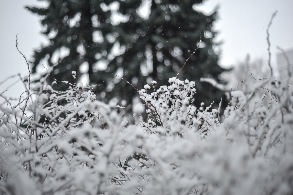 На Свердловскую область надвигаются сильные снегопады.