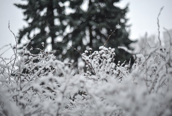 На Свердловскую область надвигаются сильные снегопады. Фото: Галина Соловьева