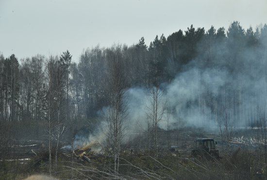 Проводить любые пожароопасные работы в лесу, на полях и населённых пунктах запрещено. Фото: Алексей Кунилов.