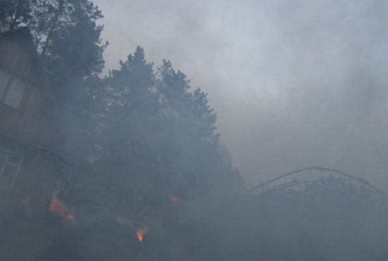 Дым пришёл из Курганской области, где зафиксировано несколько масштабных природных пожаров. Фото: Алексей Кунилов.