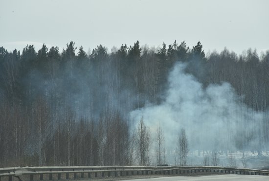 Лесные пожары в УрФО бушуют на площади 51 662 га. Фото: Алексей Кунилов