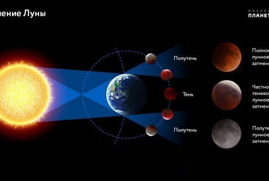 Суперлуну - на 7% более крупную Луну, чем обычно, - смогут наблюдать все россияне, а вот затмение будет видно только на востоке страны. Фото: Московский планетарий