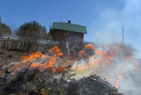На Среднем Урале полностью запрещено использование открытого огня. Фото: Алексей Кунилов.