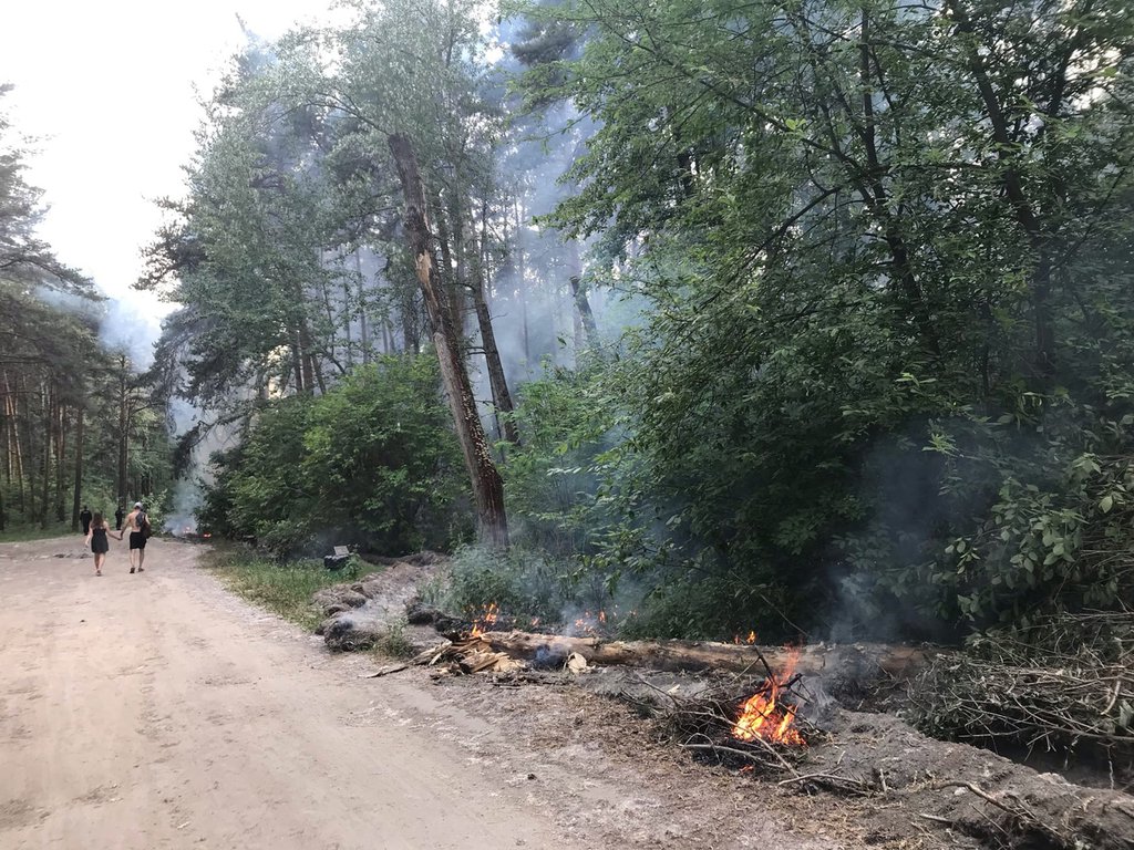 Пожар в лесу на Шарташе