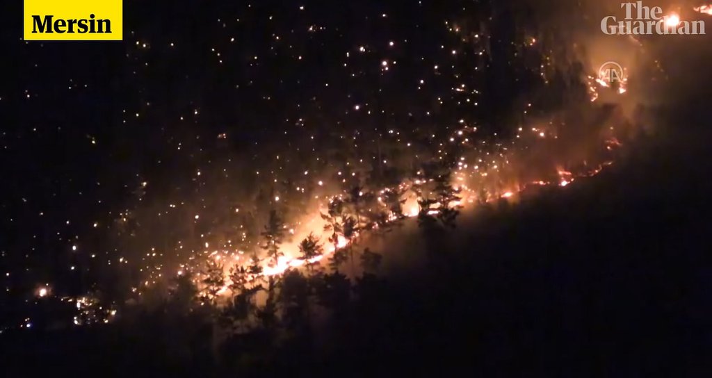 Лесной пожар в Турции