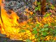 Леса Свердловской области продолжают гореть. Фото: Галина Соловьёва