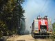 Все лесные пожары в Свердловской области локализованы. Фото: Галина Соловьёва