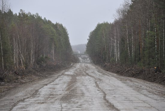 АО "Транснефть-Сибирь" направит на ремонт участка дороги протяжённостью 22 км 280 млн рублей. Фото: Владимир Мартьянов.