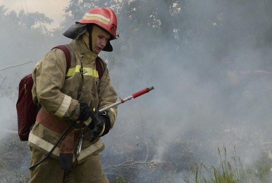 Пожарные тушат торфяники с 11 октября. Фото: Павел Ворожцов