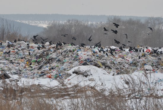 Крупный арамильский мусорный полигон, который находится на въезде в город, был закрыт в 2013 году. Фото: Павел Ворожцов