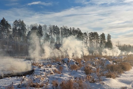 В надзорном ведомстве заявили, что виновником пожара стал собственник участка - ЗАО "Реконструкция". Фото: Соня Косачёва / Гринпис.