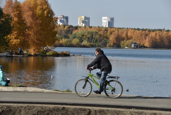 Вдоль обновлённых дорог появится велодорожка. Фото: Алексей Кунилов